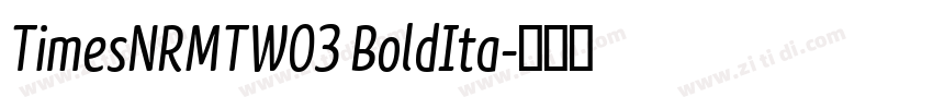 TimesNRMTW03 BoldIta字体转换
